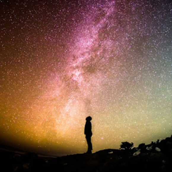 Meet your Posher, Joy - Picture 1 of 1